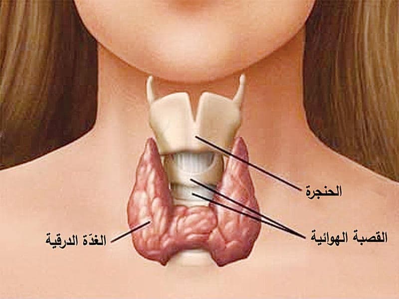 الغدة الدرقية